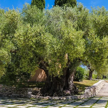 Tenuta Colfiorito شقة روما